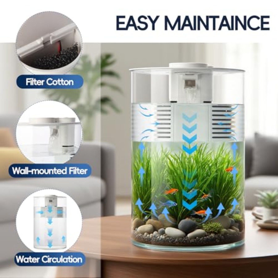 3 Gallon Self Cleaning Fish Ta - đánh giá và giá Fish Co Aquarium