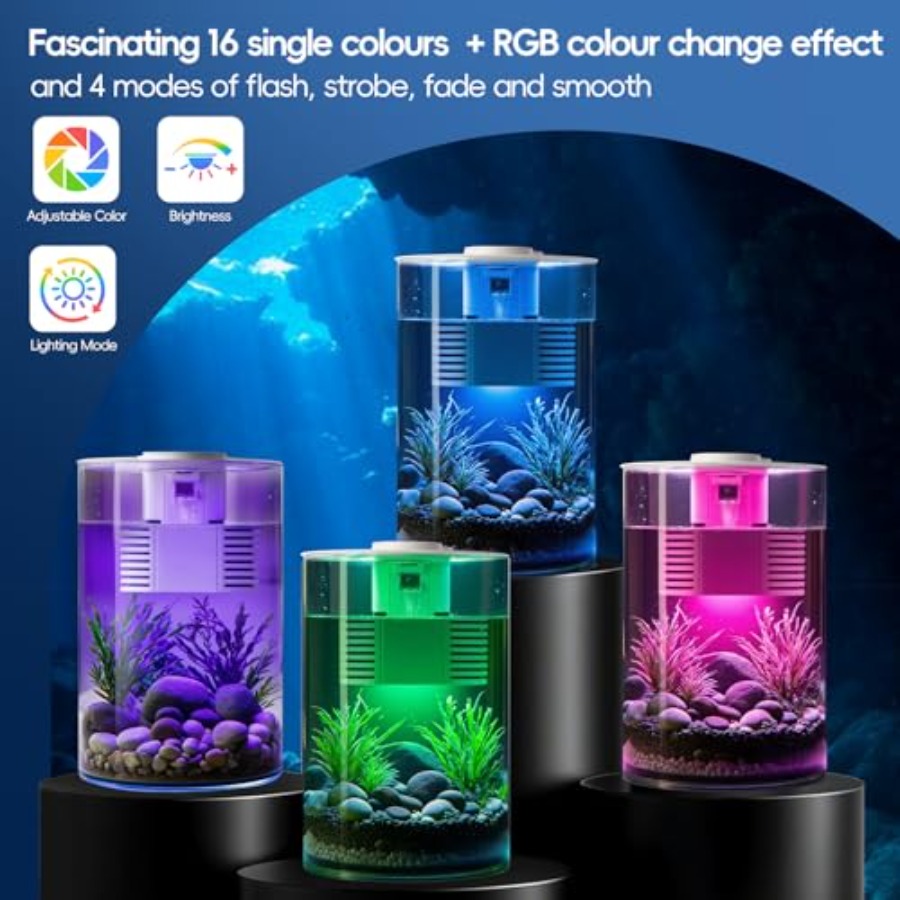 3 Gallon Self Cleaning Fish Ta - đánh giá và giá Fish Co Aquarium