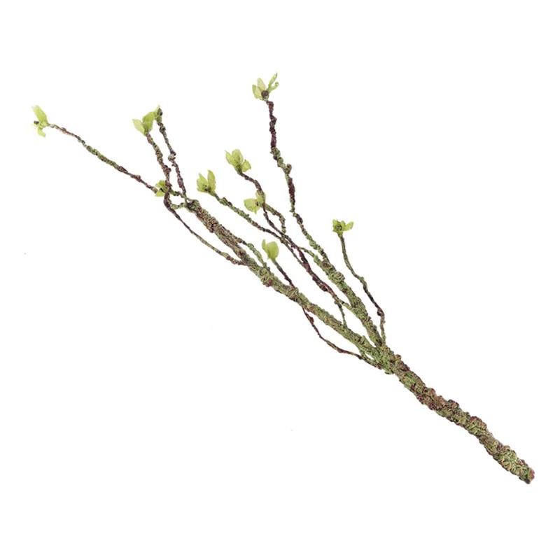 Vines Decor Climbing Branches  - đánh giá và giá Aquarium Fish Tank Price