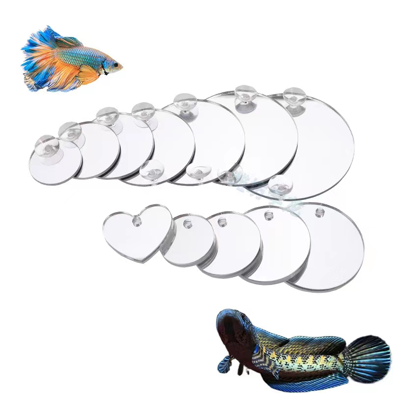 Aquarium Betta Mirror Fish Tan - đánh giá và giá Aquarium Fish Escape