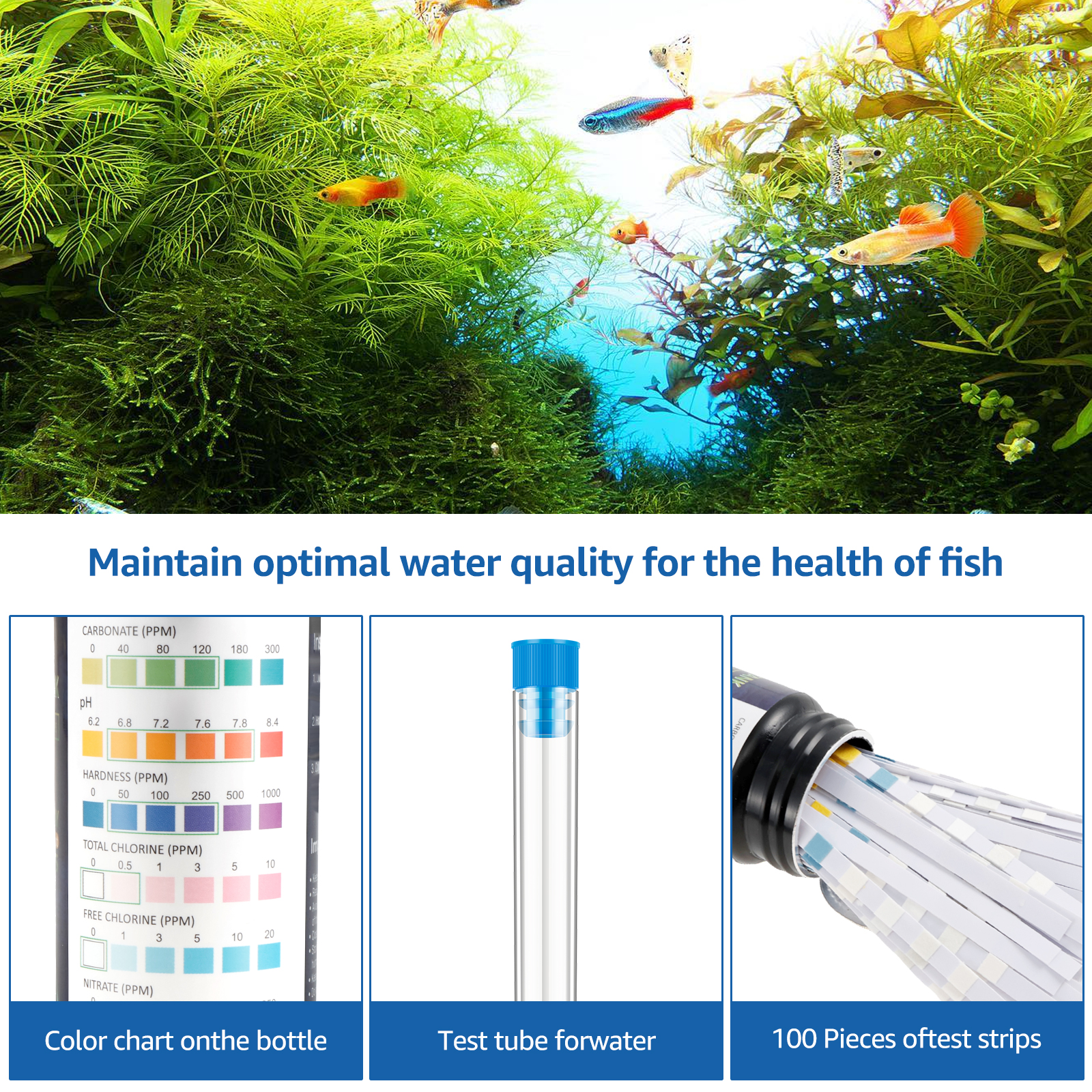 100Pcs 7 in 1 Aquarium Test St - đánh giá và giá Aquarium Fish Youtube